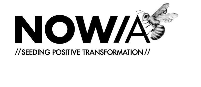 Logo NOWA Light